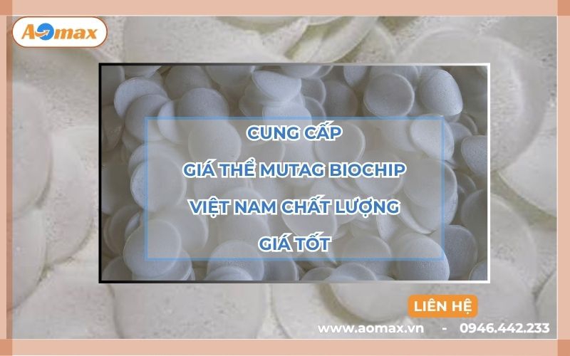 Cung cấp giá thể Mutag Biochip Việt Nam chất lượng, giá tốt